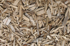 biomass boilers Mealasta